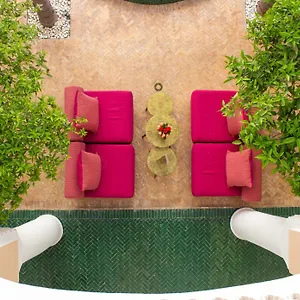 Akasia Riad